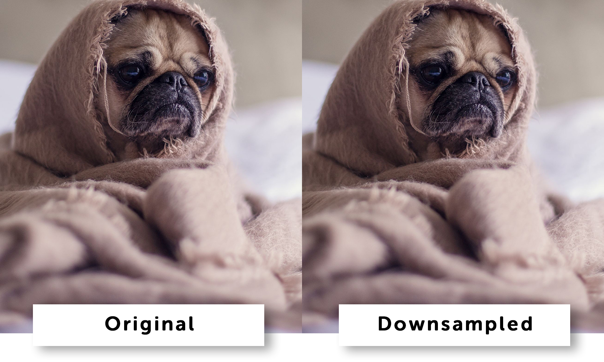 how to reszie an image using downsampling