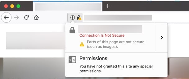 Partially Secure Browser Icon