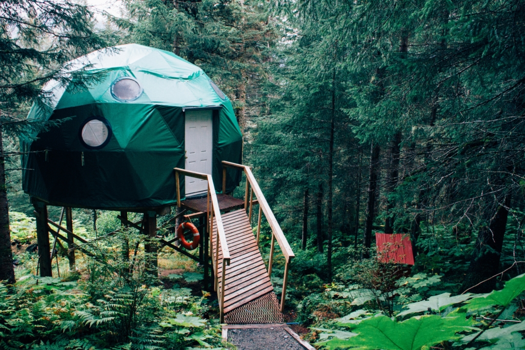 Dome house in the middle of a forest. An Airbnb listing.
