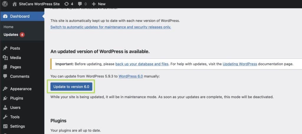 Screen grab of the WordPress dashboard highlighting the WordPress core update button.
