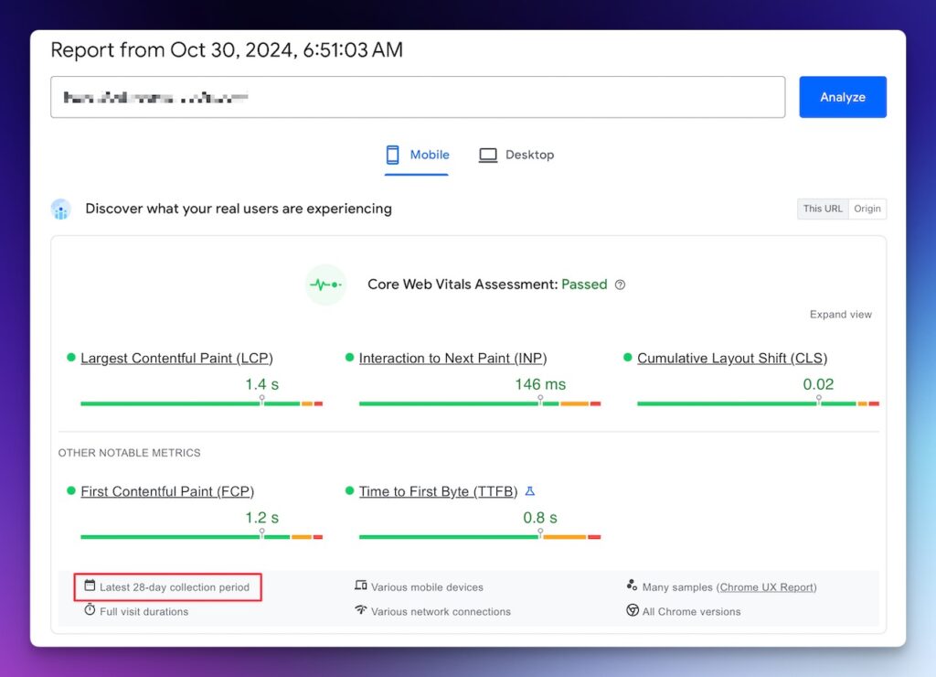 Screenshot of the user experience portion of the PageSpeed Insights report.