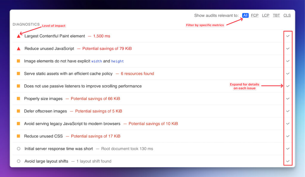 Screenshot of the detailed diagnostic view of the PageSeed Insights report.